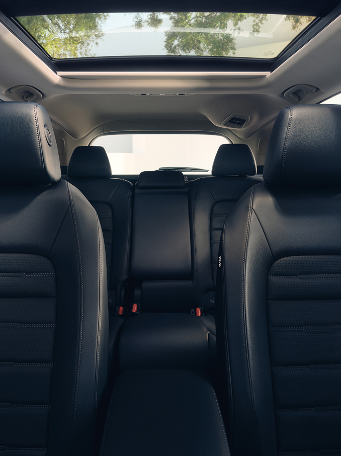 Vista interior de un coche que muestra asientos de piel delanteros y traseros calefactables de color negro con reposacabezas, un habitáculo espacioso y un techo panorámico que permite la entrada de luz natural al vehículo.