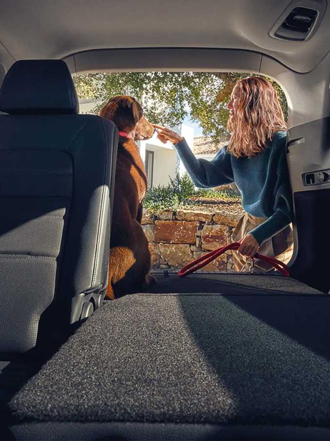 Vista interior de un coche que muestra un techo panorámico, permitiendo ver el cielo azul y la luz del sol, con asientos delanteros y reposacabezas de cuero iluminados por luz natural.