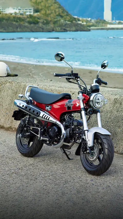 Honda Dax 125 con fondo costero