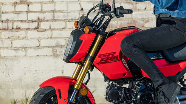 Horquilla delantera USD de la MSX125 Grom