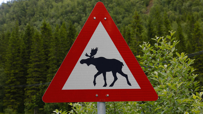 Primer plano de una señal de advertencia de animales silvestres.