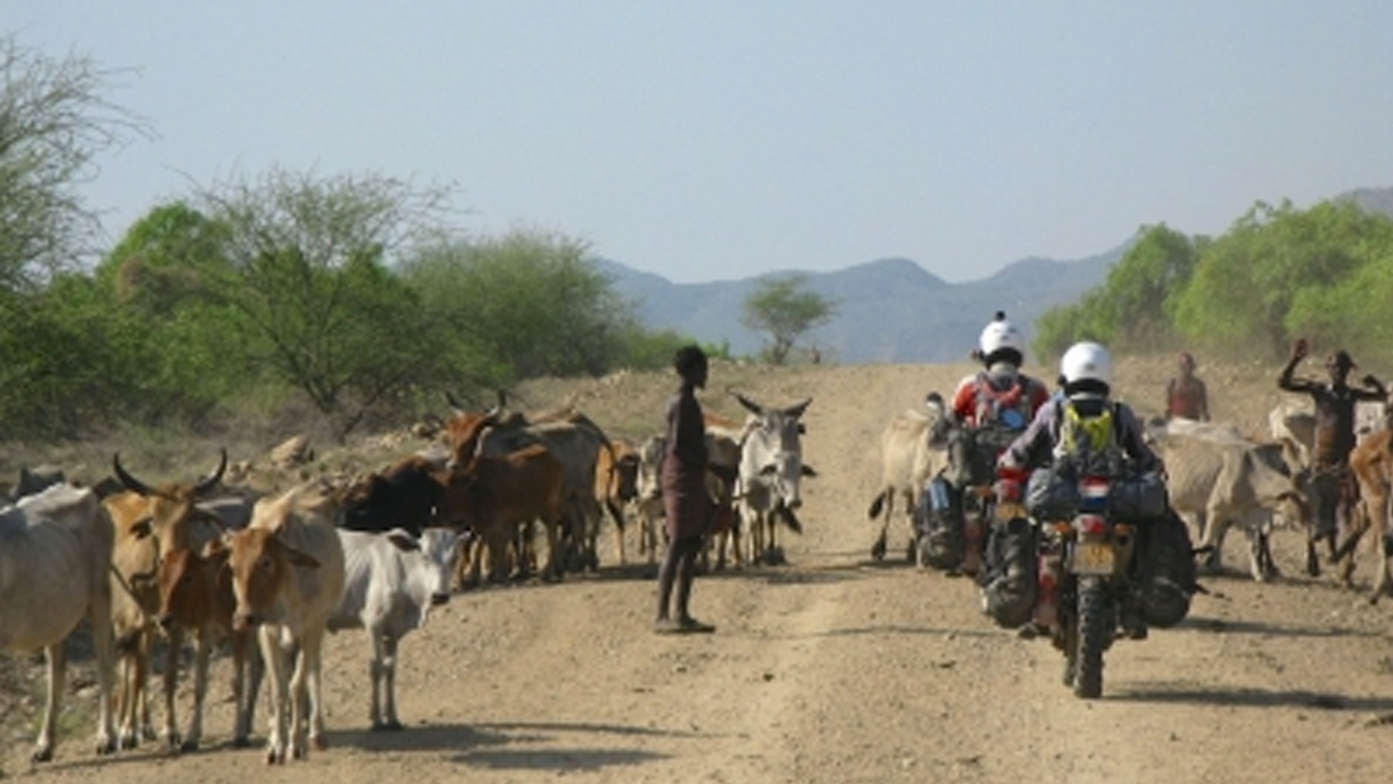 Honda True Adventure africa