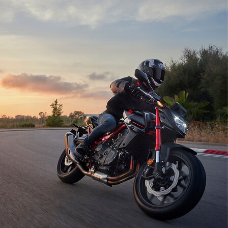 Imagen dinámica de la Honda CB750 Hornet en carretera
