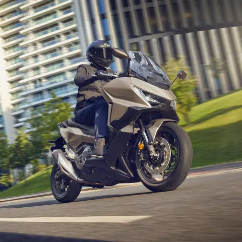 Gama de la familia Forza