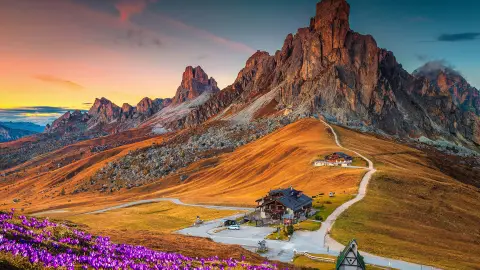 Maravilloso paisaje alpino con flores de azafrán de primavera en la colina y montañas espectaculares al atardecer, el puerto de Giau en los Dolomitas (Italia)