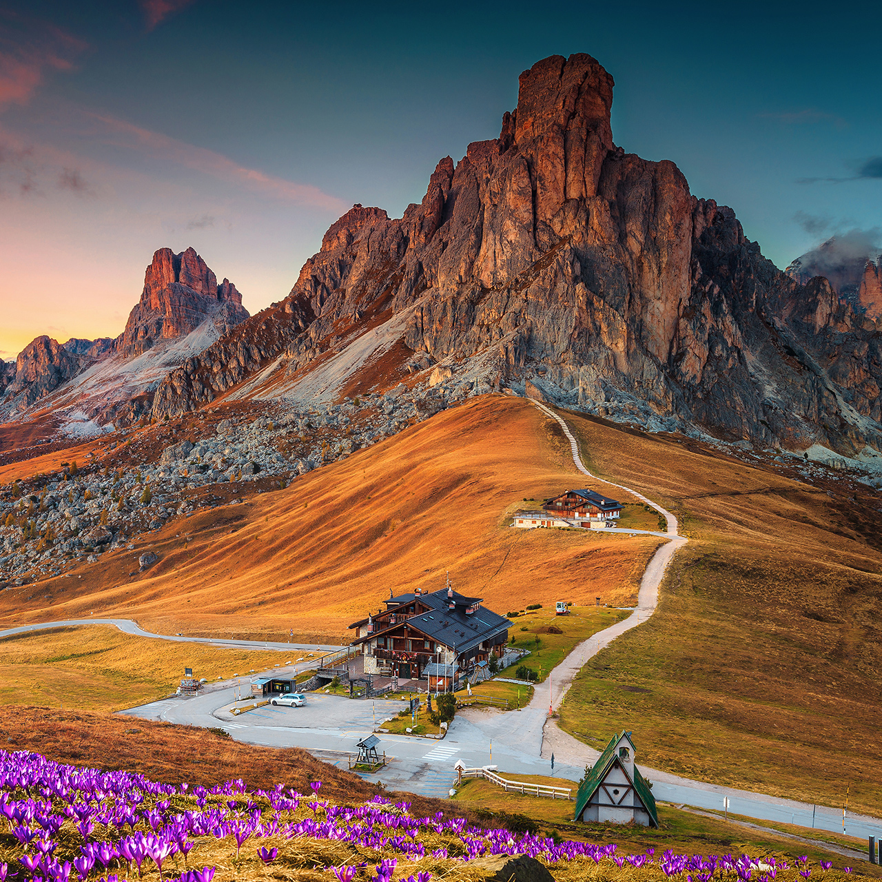 Maravilloso paisaje alpino con flores de azafrán de primavera en la colina y montañas espectaculares al atardecer, el puerto de Giau en los Dolomitas (Italia)