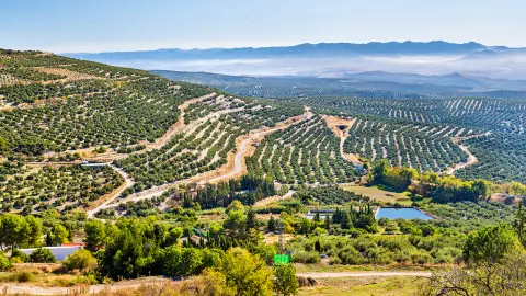 Vista clásica del paisaje de montaña de verano español con carretera