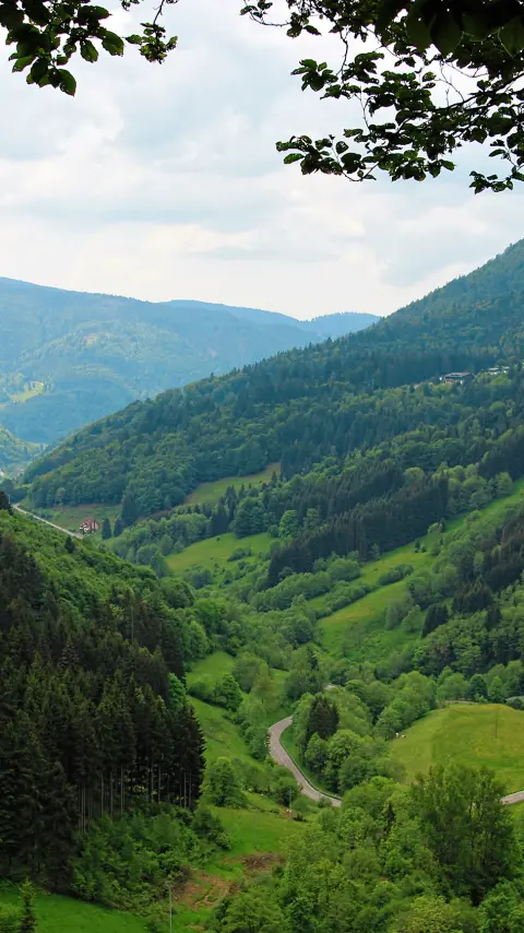 Carretera en los Alpes europeos, cerca de Garmisch-Partenkirchen