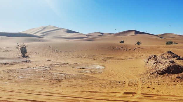 Los pilotos del HRC enseñan a los participantes a conducir la Africa Twin en terrenos difíciles.