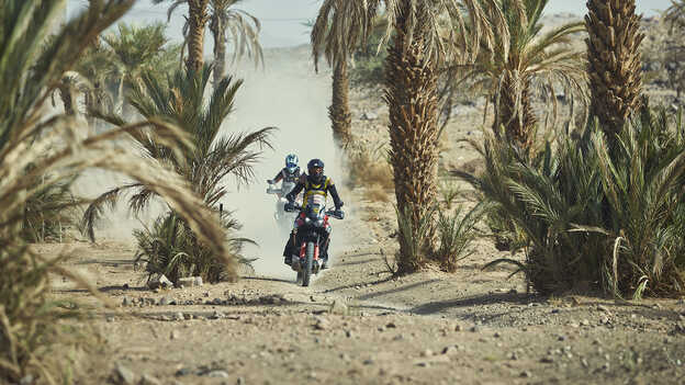 Pilotos de la Africa Twin atravesando un oasis.