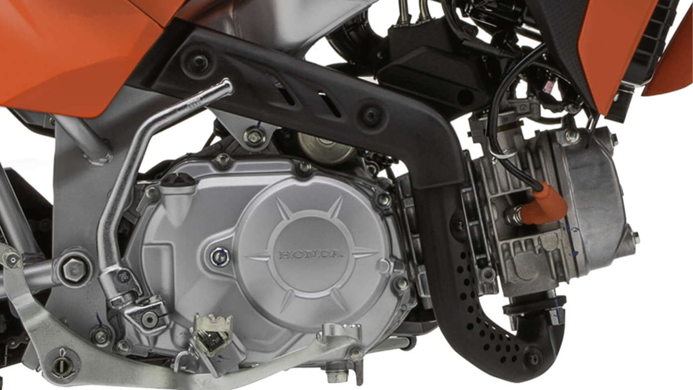 CRF110F Poder adulto