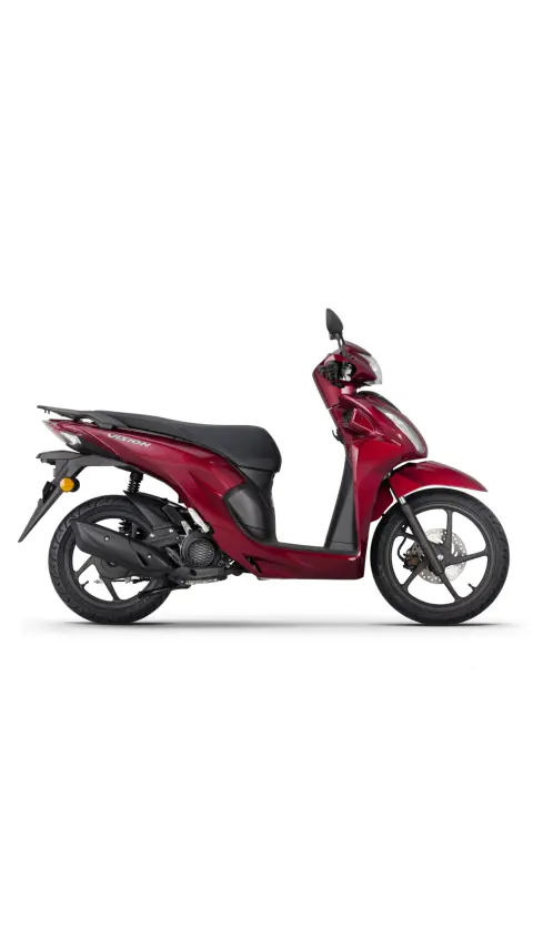 Vista de perfil de la Vision 110