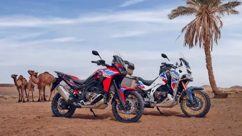 Imagen Off-Road de la Africa Twin