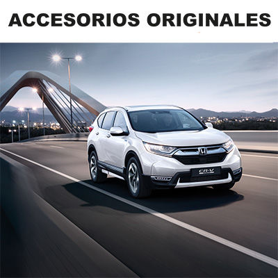 Accesorios Navidad 2014