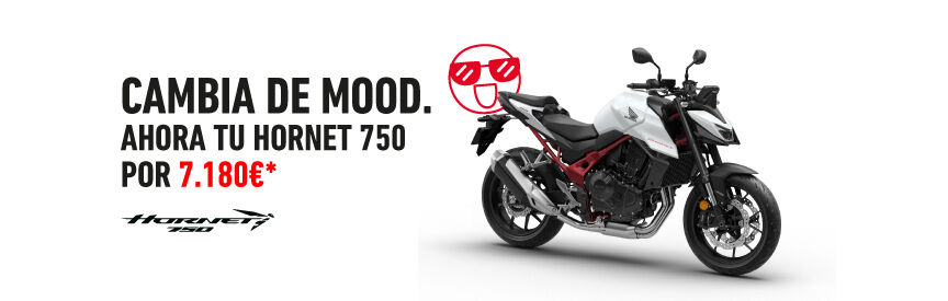 Honda Hornet 750 en color blanco