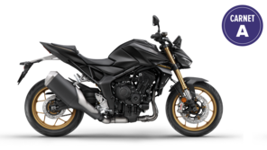 Honda CB1000 Hornet 