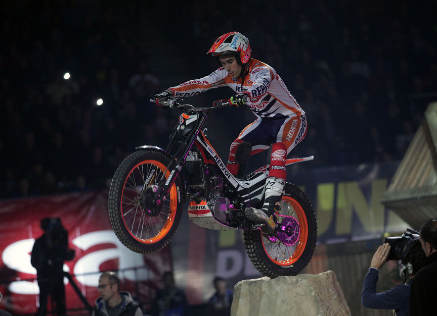 Toni bou