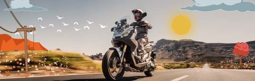 X-Adv