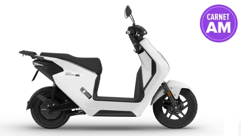 Honda Scooter