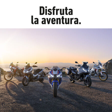 Composición modelos 2022