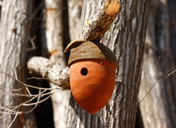 "Worm-eaten Acorn", diseño Honda en el Birdhouse Project del bosque de Hello Woods, uno de los grandes proyectos medioambientales de Honda 